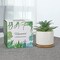Mini Artificial Agave Succulent in Ceramic Pot with Bamboo Tray – Faux Small Potted Plant for Home Office Desk, Living Room, Shelf & Modern Decor (5.9")